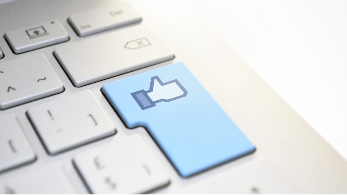 BuddyPress Follow Plugin Review