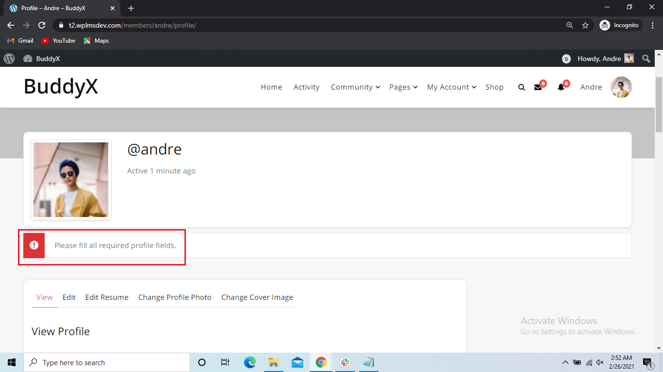buddypress profile completion