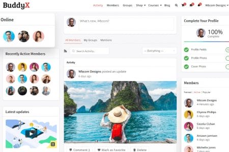 Say Hello To WordPress Social Network Theme BuddyX – Free Version