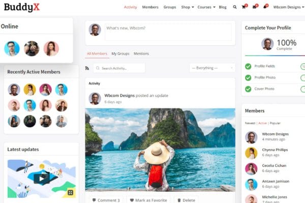 WordPress Social Network Theme