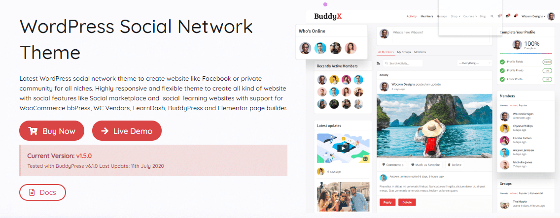 Social Network WordPress Theme
