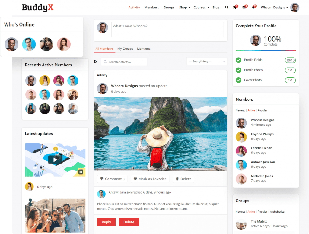 free Social Networking Themes buddyx Theme