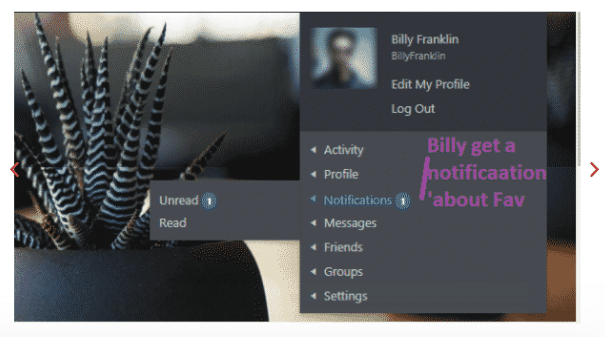 BuddyPress plugin Addons