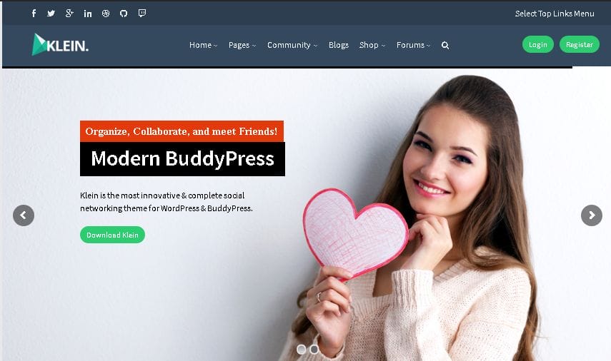 WordPress BuddyPress Themes klein