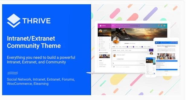 WordPress intranet theme Thrive