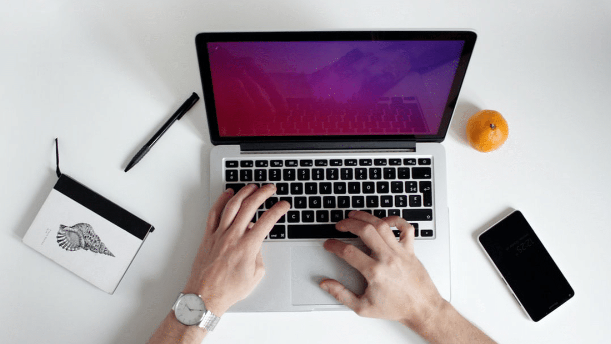 WordPress intranet theme