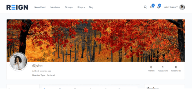Member at their profile after logging In