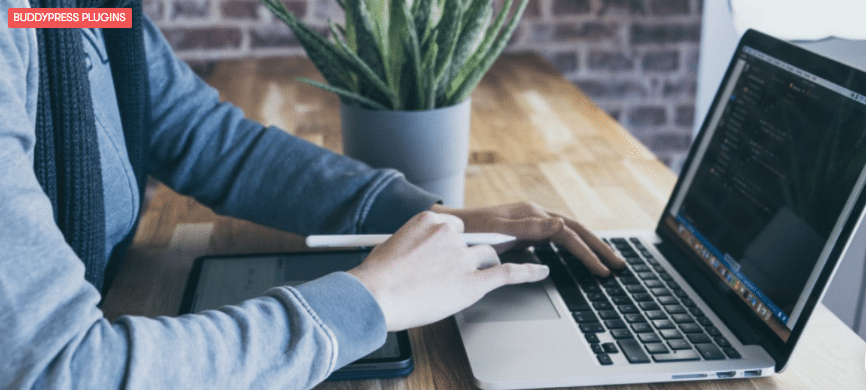 BuddyPress Limit Members Per Group Plugin Review