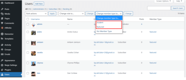BuddyPress Member Type Generator setting
