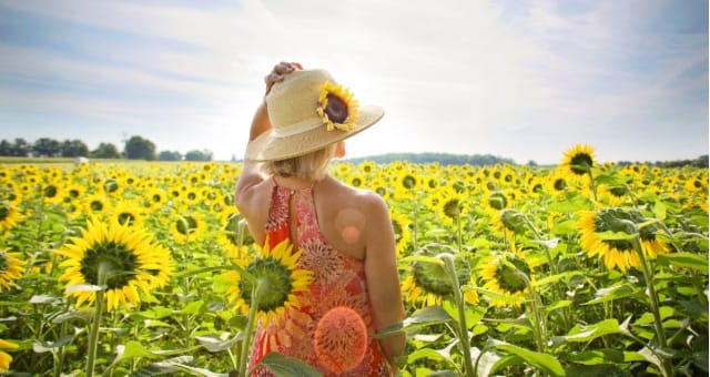 Beauty Blogging Community