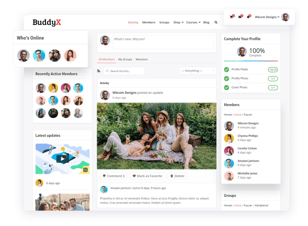 buddyx private community theme