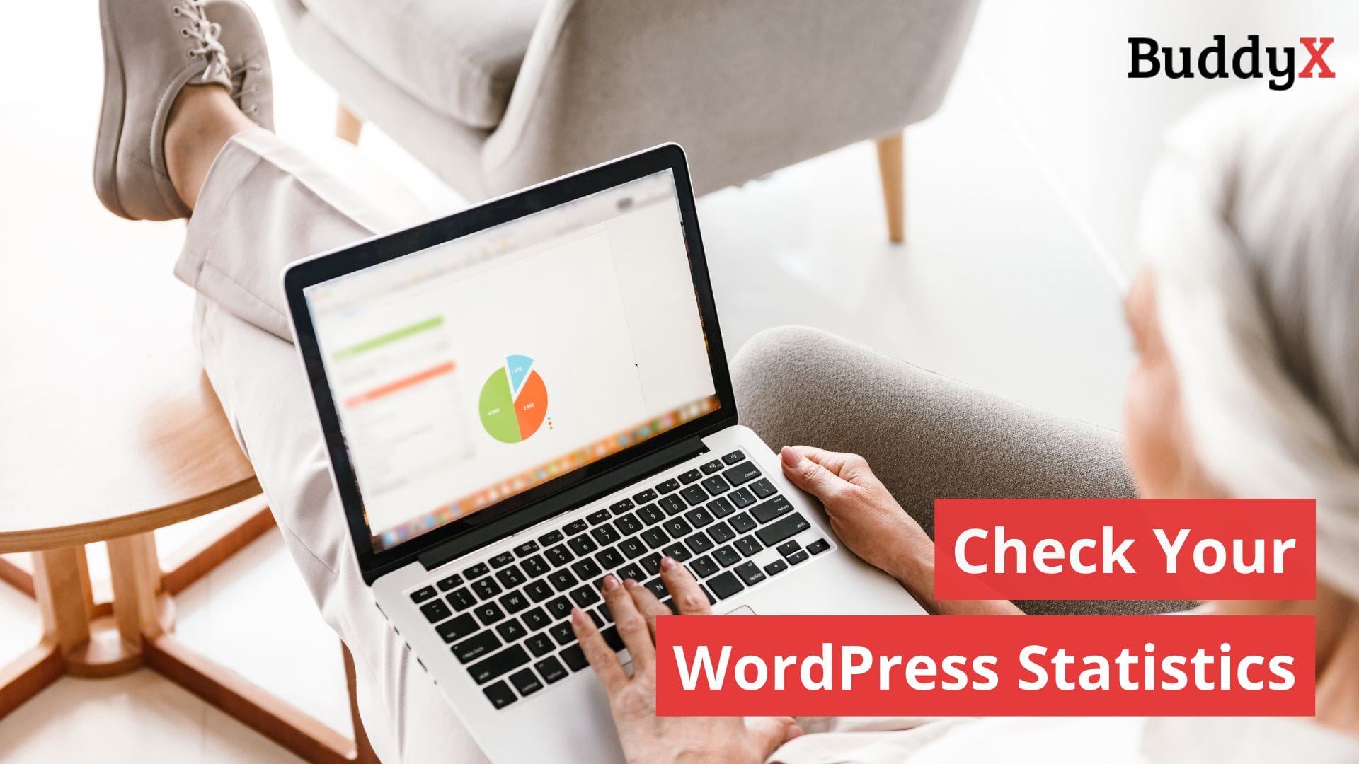 Check wordpress stats