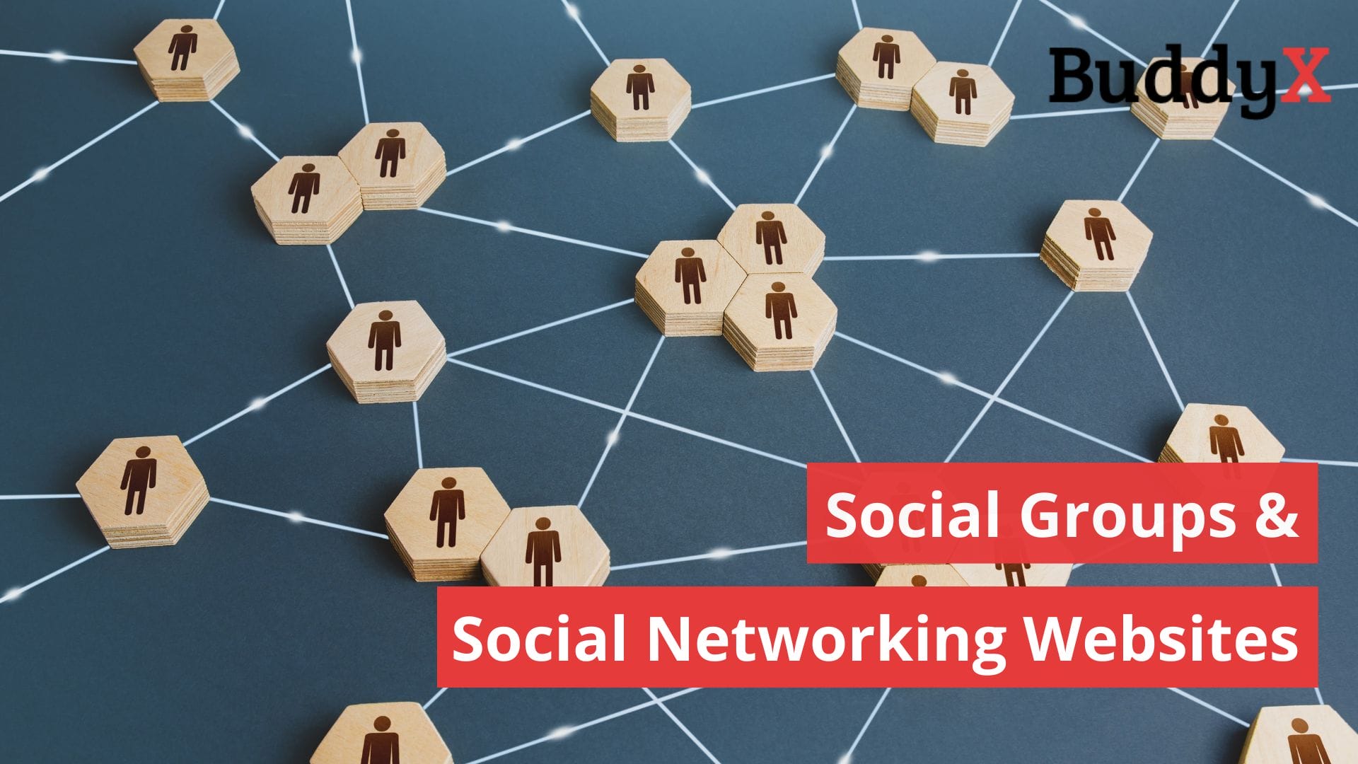 Social Networking Websites