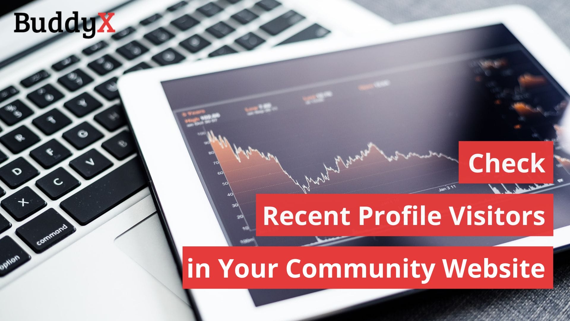 check recent profile visitors