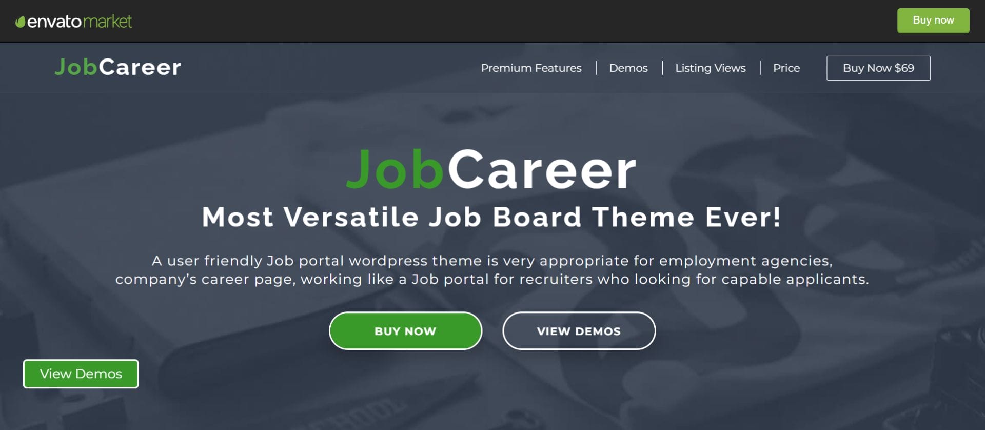 jobcareer theme
