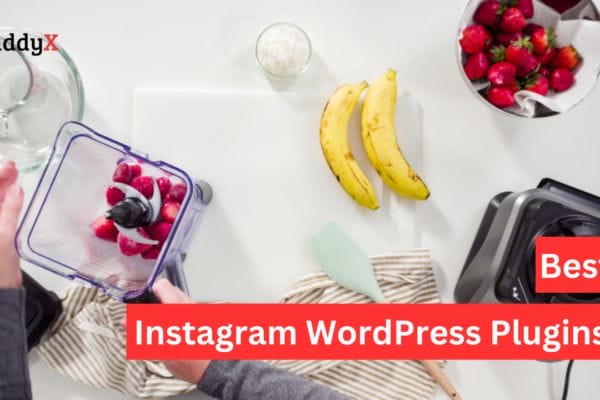 Instagram WordPress Plugins