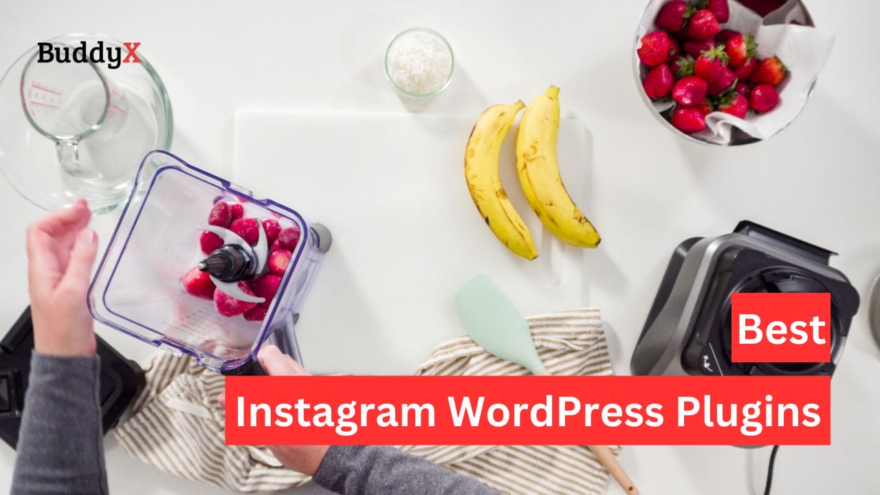 Instagram WordPress Plugins