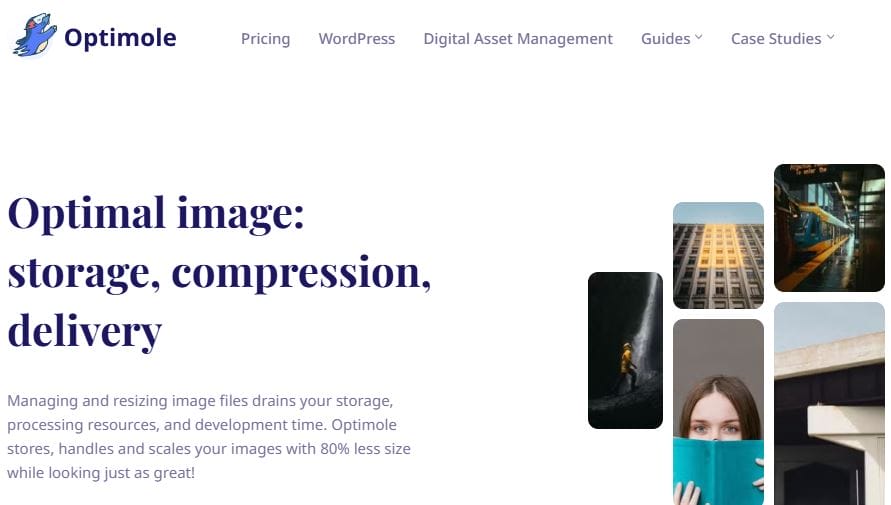 WordPress Image Compression Plugins