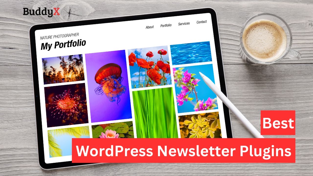 WordPress Newsletter Plugins