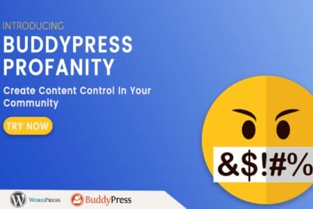 How Can We Keep Safe and Secure Our Buddypress Community