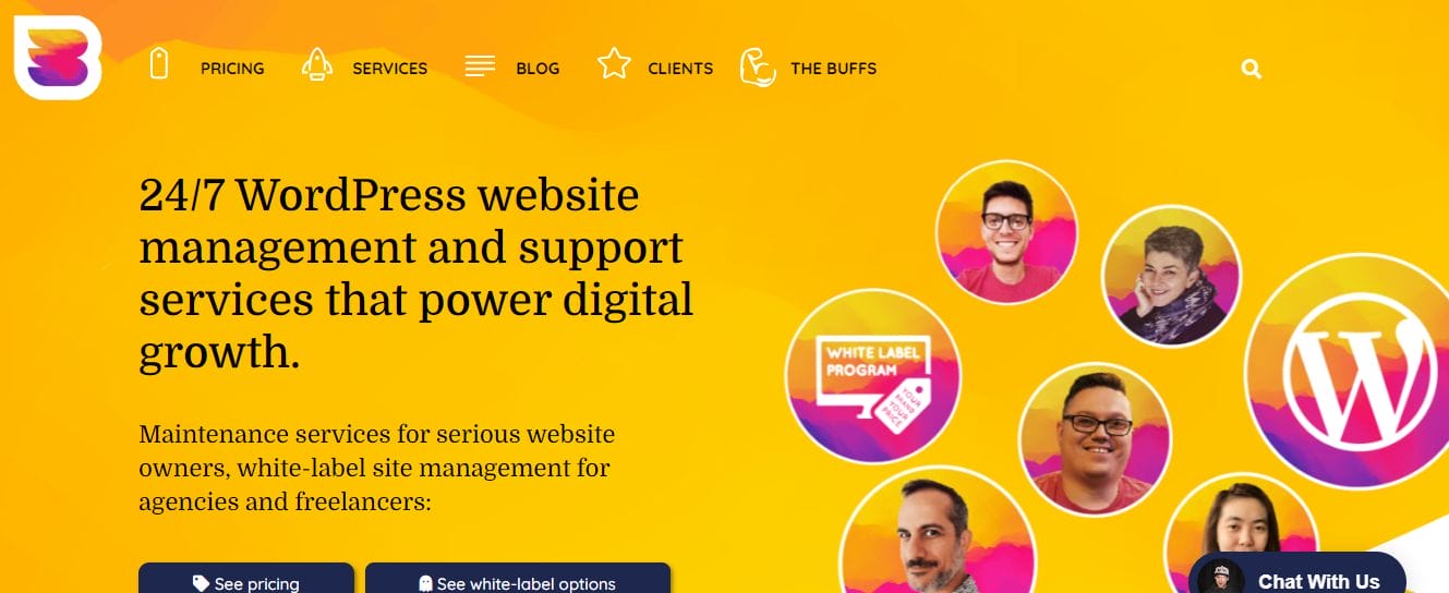 WP-Buffs- WordPress Support Services