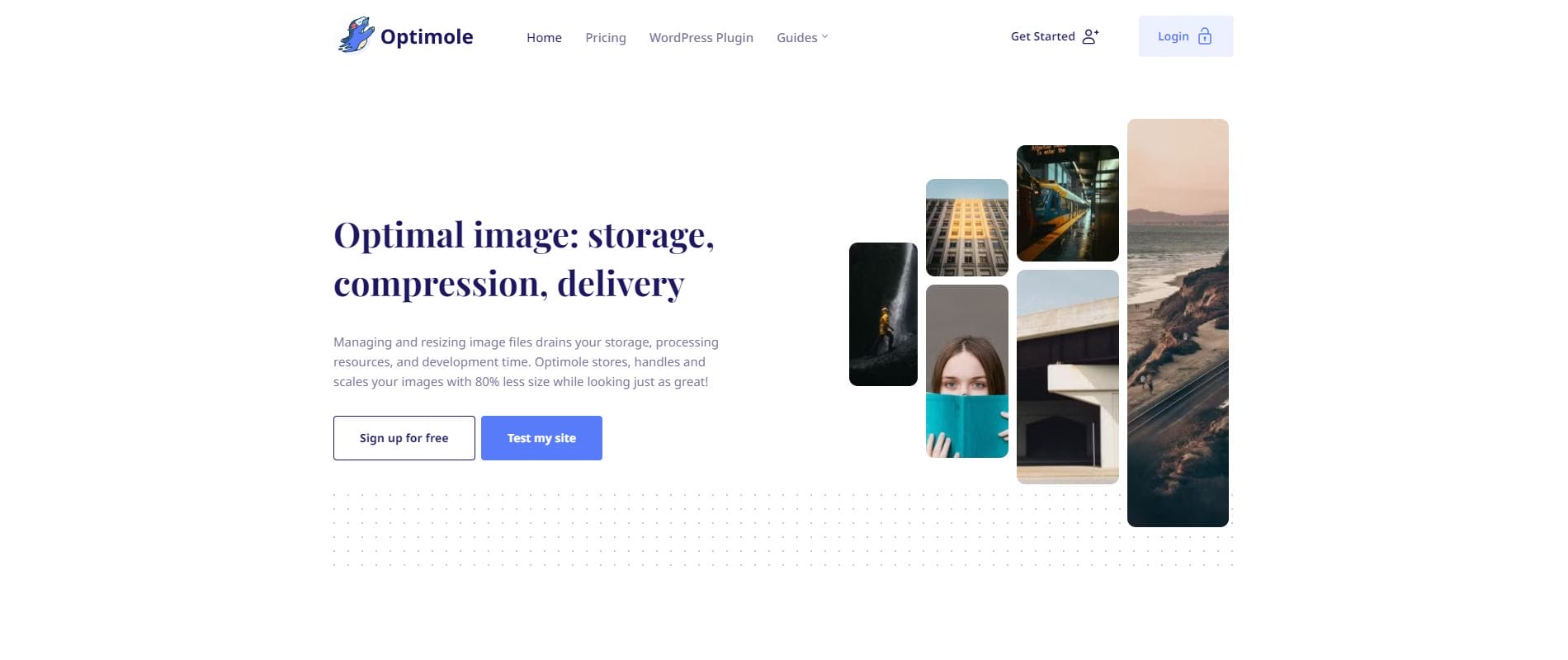 Plugins for WordPress Bloggers- optimole
