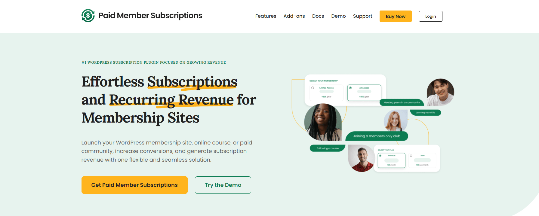 Paid Member Subscription