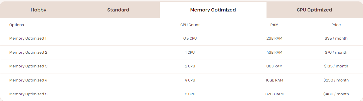 Memory optimized- Kinsta Review