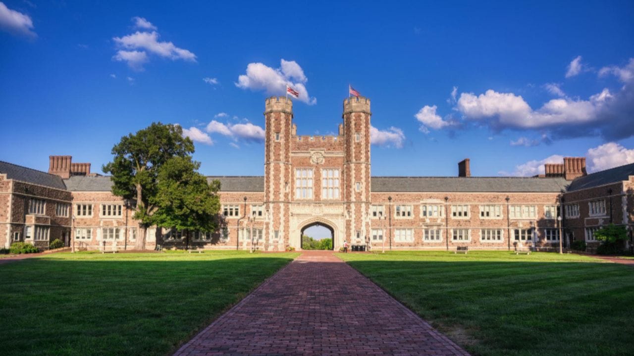 Best Free WordPress Themes for University Websites