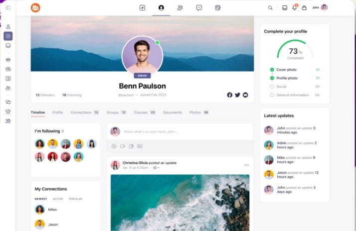 WordPress Social Networking Themes