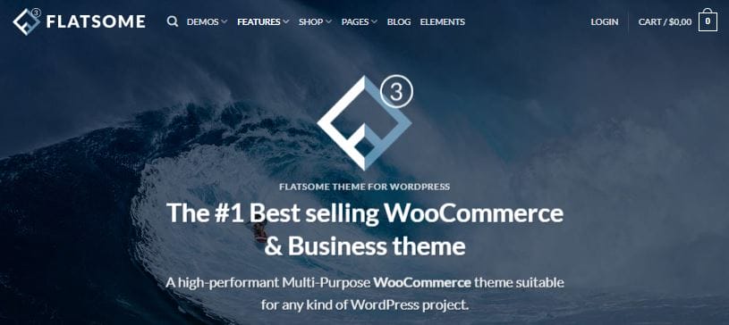 WordPress Themes