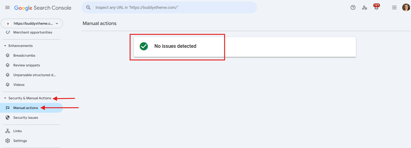 Security & Manual Actions