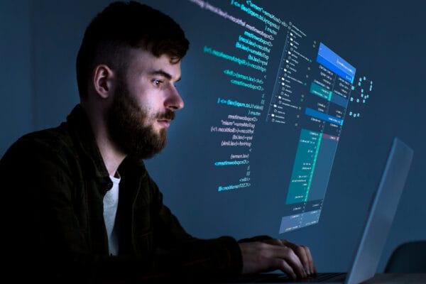 WordPress Developers