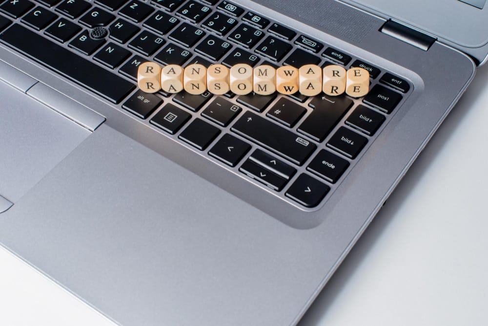 DNSChecker Word Counter