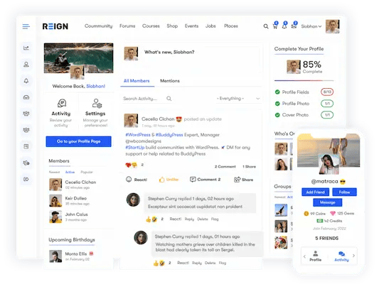 Reign Theme: The Community Builder’s Secret Weapon