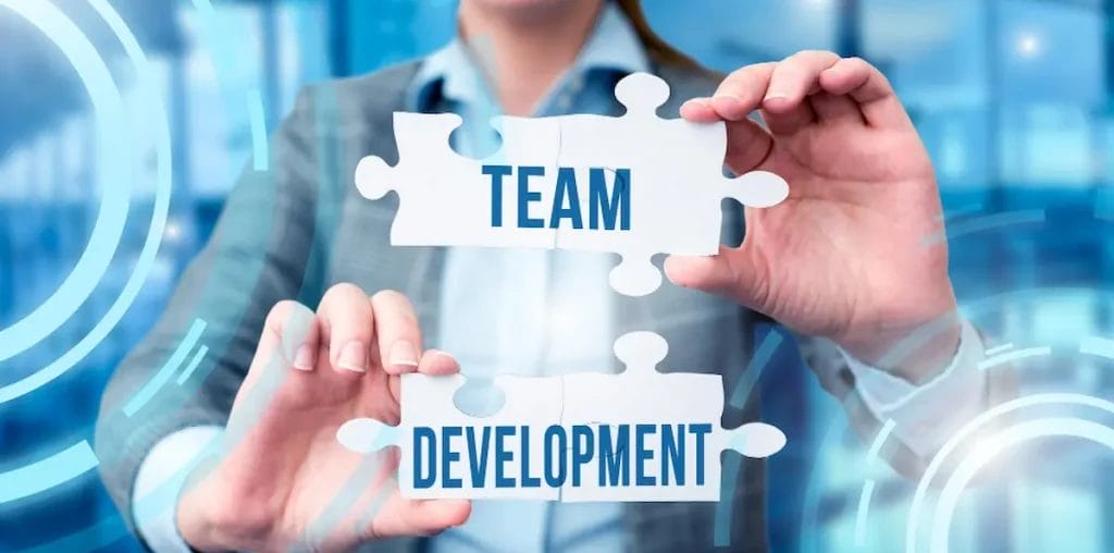 What Is Team Software Process