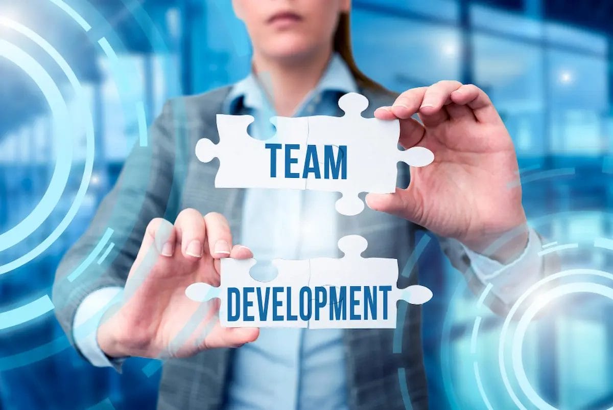 What Is Team Software Process